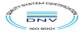Logo DNV.png